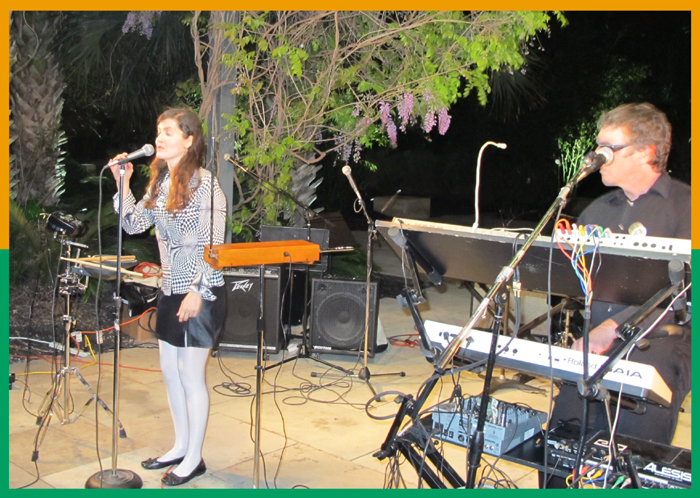 A crowd watches as Jess Hyperbubble plays the theremin
